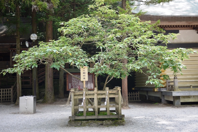 a0127090_221288.jpg