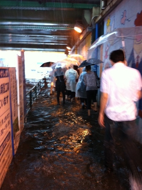 rainman_f0236990_0404029.jpg