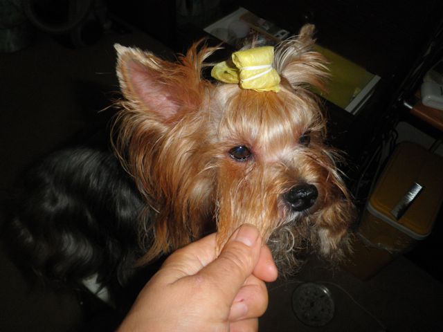 f0130894_22351068.jpg