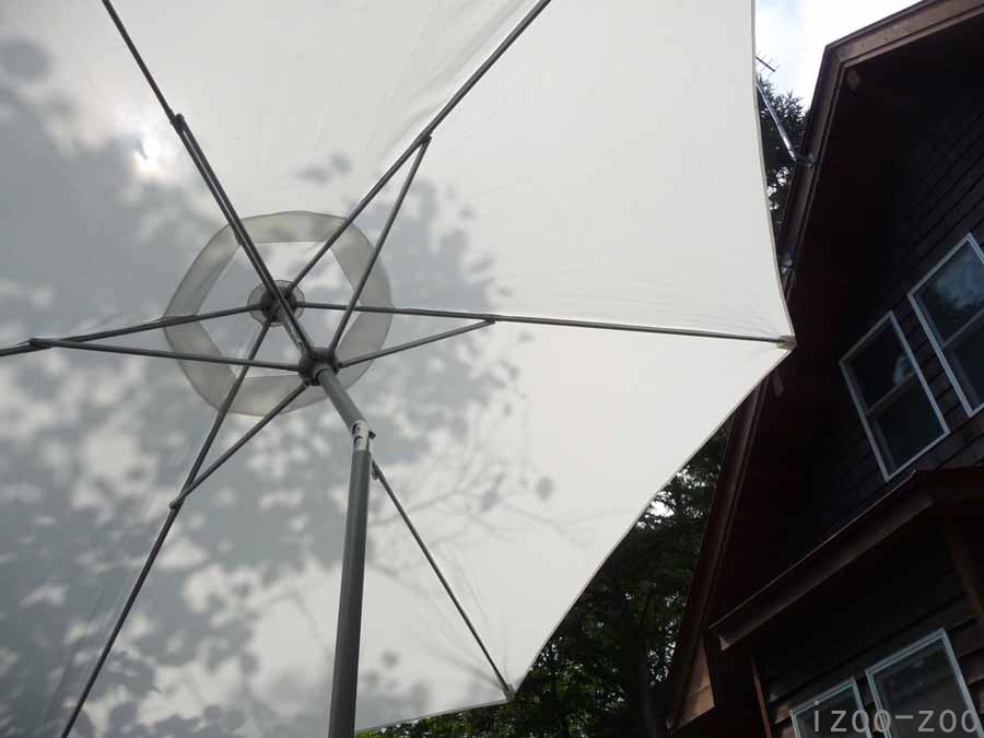 終わり行く高原の夏_c0223095_16144828.jpg