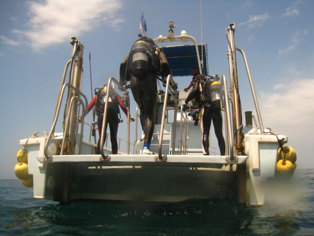 f0053895_17341683.jpg