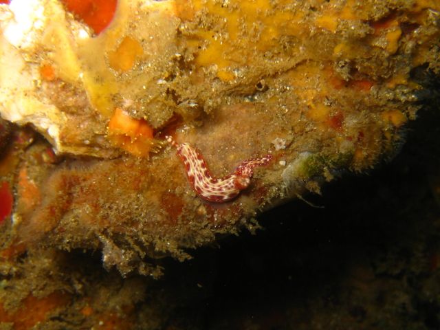 f0053895_17342511.jpg