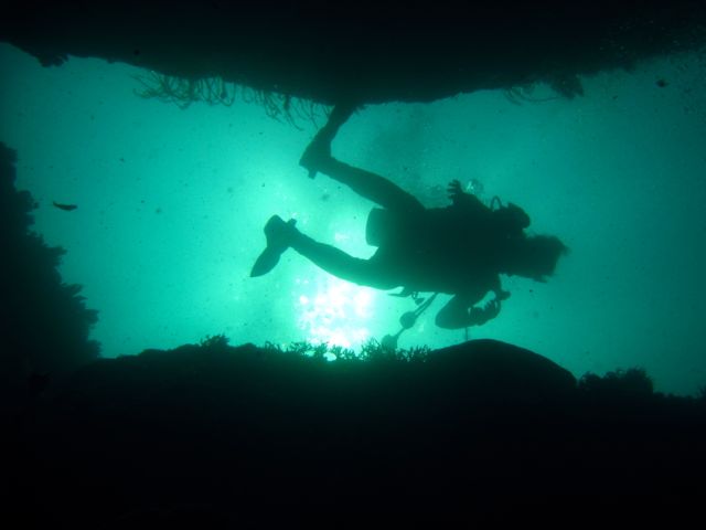 f0053895_17343978.jpg