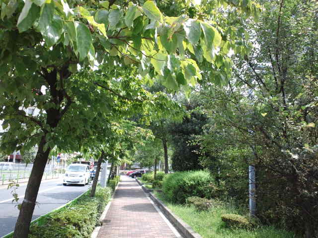 f0077595_12249.jpg