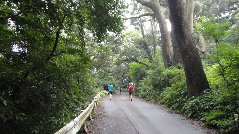 懐の深ーい湯河原RUN_d0122797_1481389.jpg