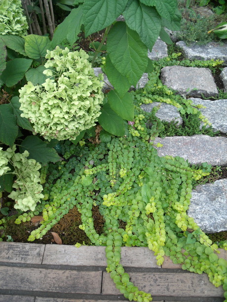 b0207698_12154535.jpg