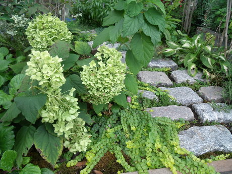 b0207698_12161699.jpg