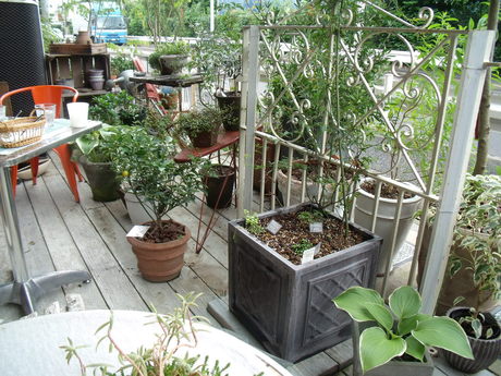 b0207698_12185847.jpg