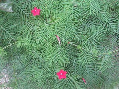 b0186899_166343.jpg