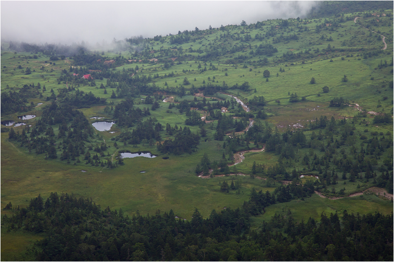 e0031502_1515342.jpg