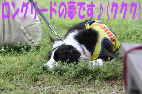 e0100007_2215851.jpg