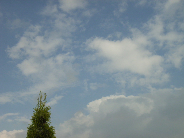 e0177824_2051872.jpg