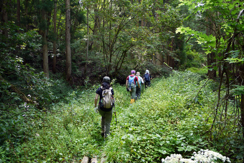 c0064025_21132537.jpg
