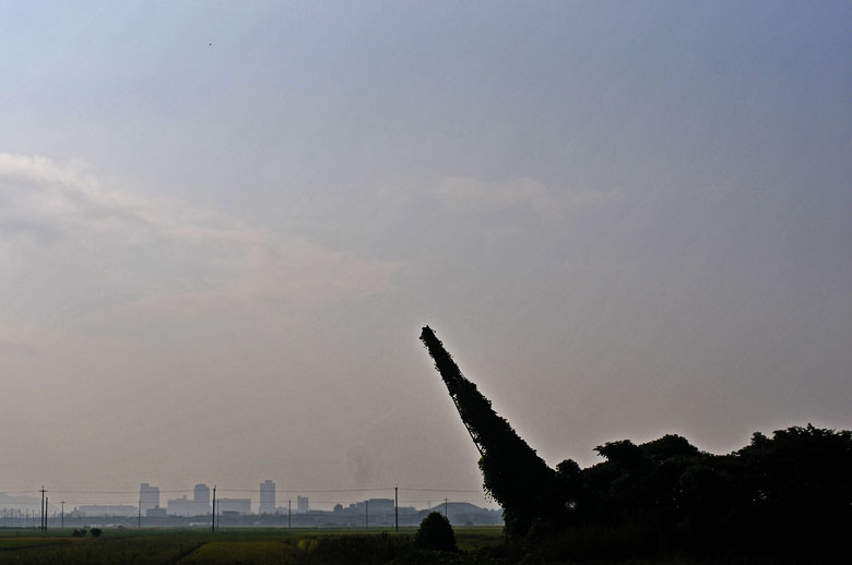 c0211429_20124183.jpg