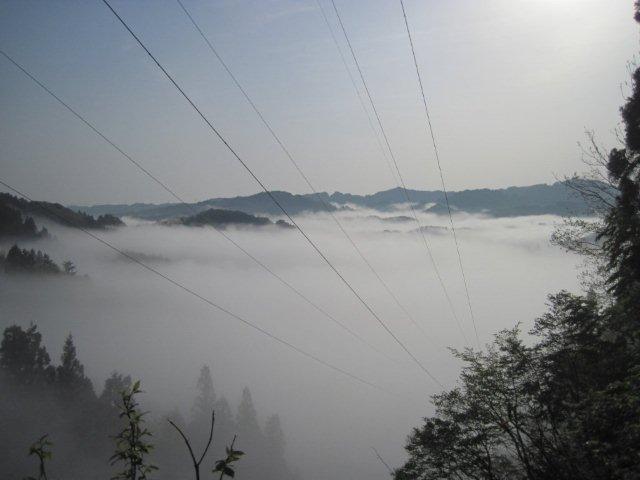 f0207329_7481840.jpg