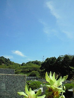 a0127331_1443617.jpg