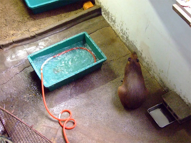 頑張ってます!_a0179837_1520559.jpg