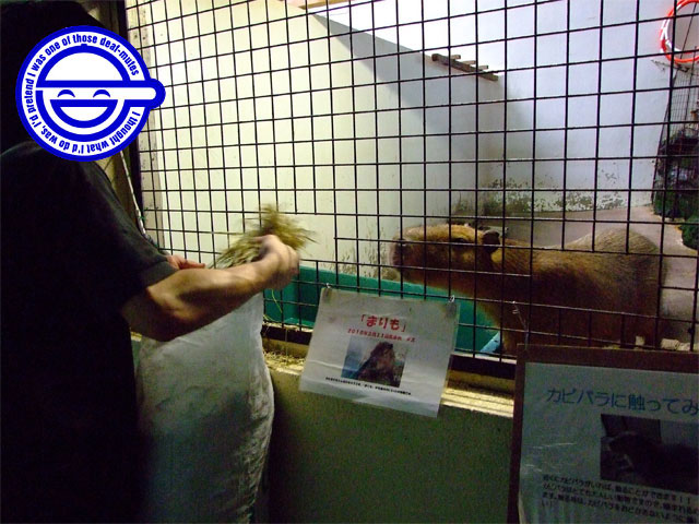 頑張ってます!_a0179837_15463279.jpg