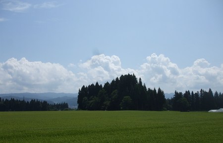 c0202242_69868.jpg