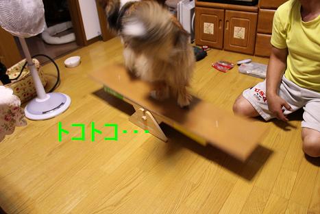 家のリフォーム~まずは練習♪_e0195743_1512963.jpg