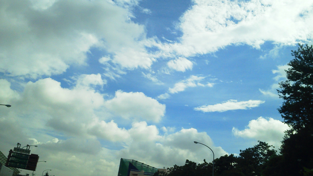 f0179947_15188.jpg