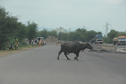 c0000759_28714.jpg