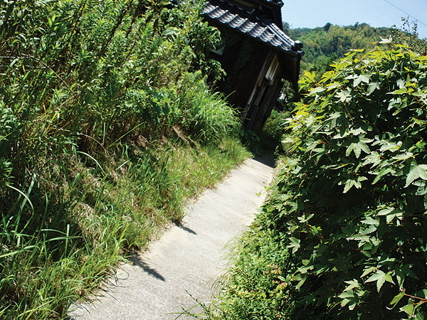 b0152660_1662630.jpg