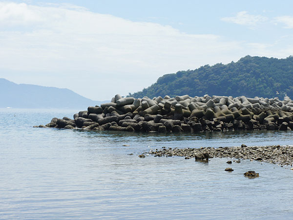b0152660_168445.jpg