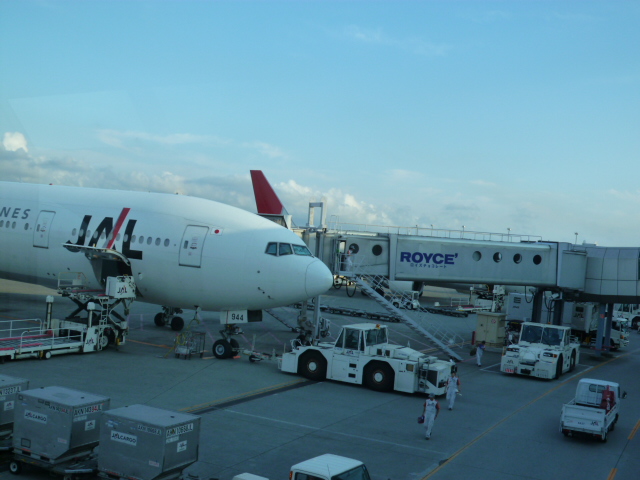 嵐だった・・・札幌旅_c0100865_2236456.jpg