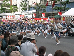 ２０１１高円寺阿波踊りを見ました。_d0126473_031474.jpg