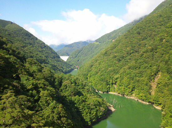 f0186275_1083869.jpg