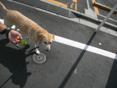 f0052277_0402066.jpg
