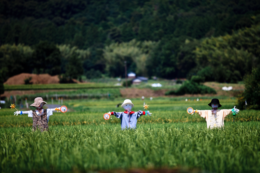 案山子のある風景！_b0128581_1632178.jpg