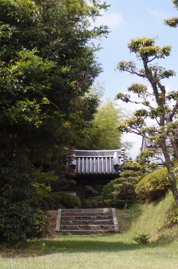 e0024081_14787.jpg