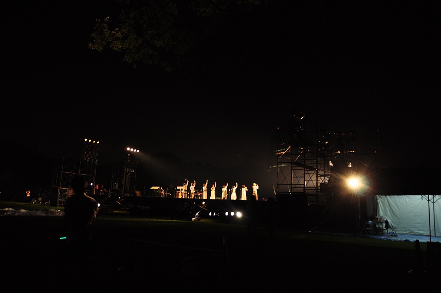 ぷらりのお散歩。*。゜。大阪城　城灯りの景（え）2011　編_f0225982_22171716.jpg