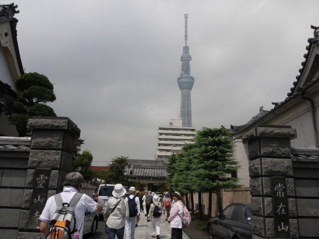 b0175688_2173556.jpg