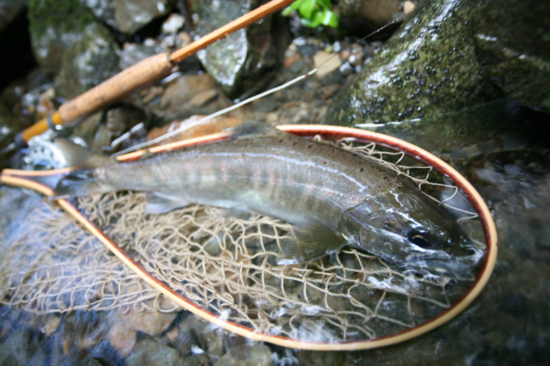 f0166390_020161.jpg