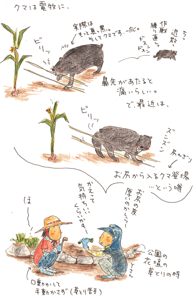 f0236291_991397.gif