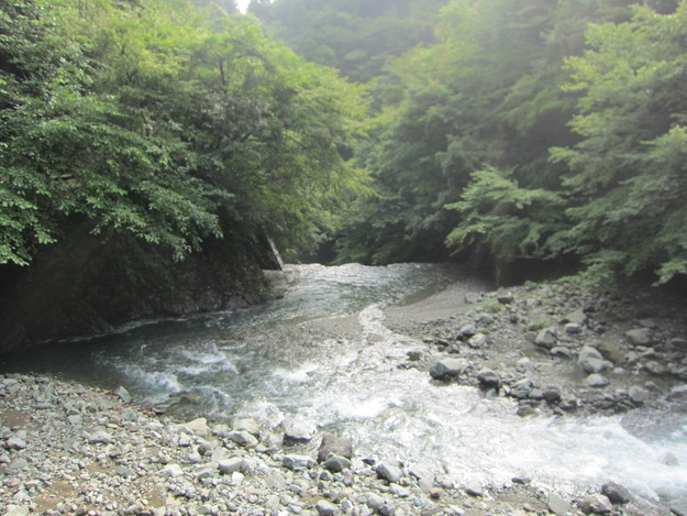 e0107493_6503412.jpg