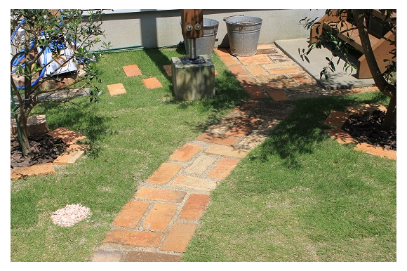 b0207995_17592331.png