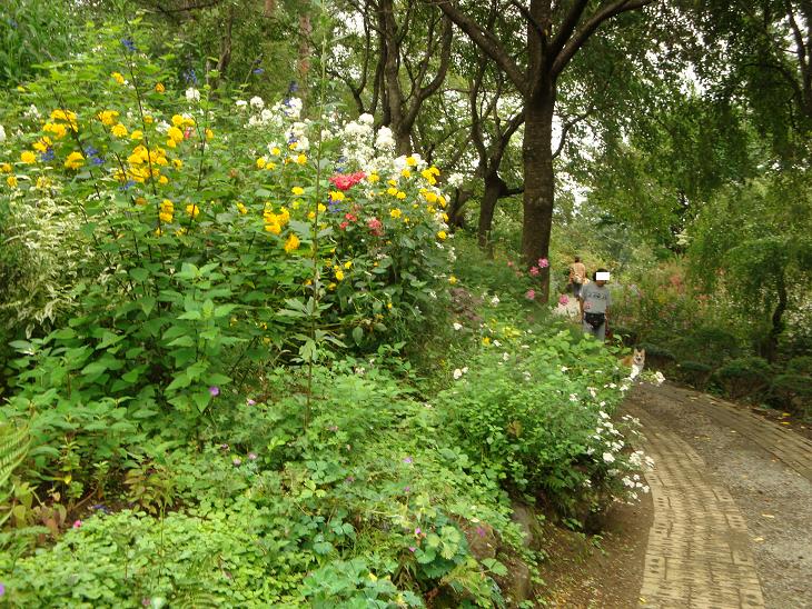 f0075595_050373.jpg