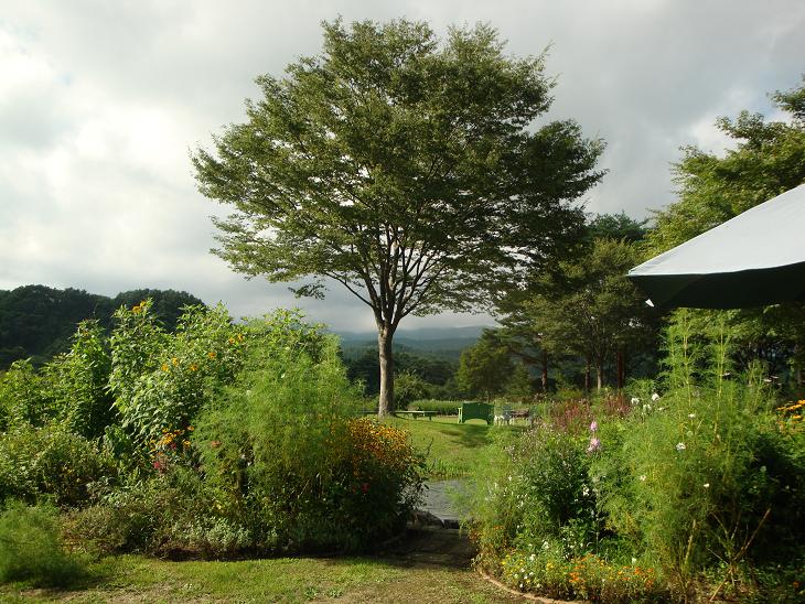 f0075595_121310.jpg