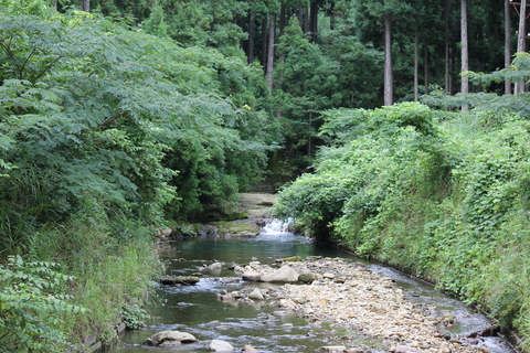 梯川支流　尾小屋周辺_e0219497_0214237.jpg