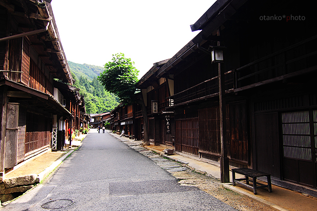 f0228502_16302550.jpg