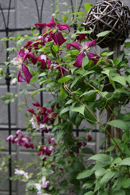 a0123003_1028772.jpg