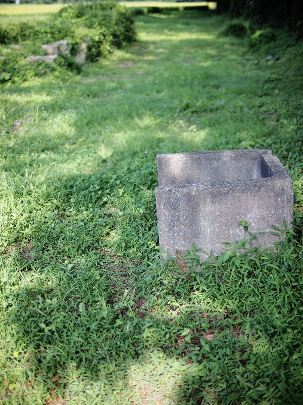 a0189203_2192145.jpg