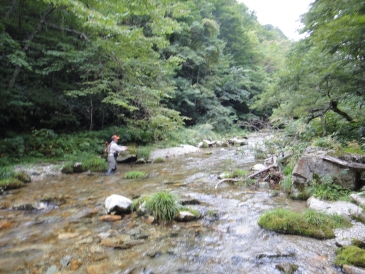 b0172805_3332999.jpg