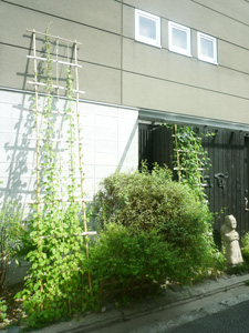 2011/8月『超!カワイイ展』【第2部】 ~AKF48総選挙2011~結果発表_e0189606_15502361.jpg