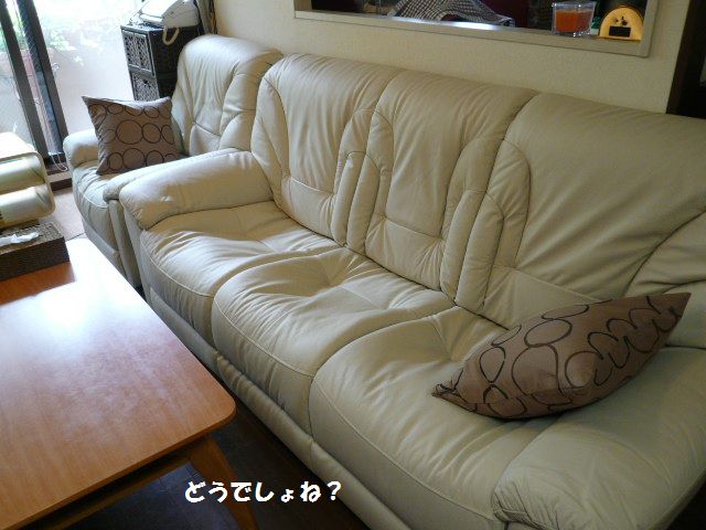 e0094407_13265186.jpg
