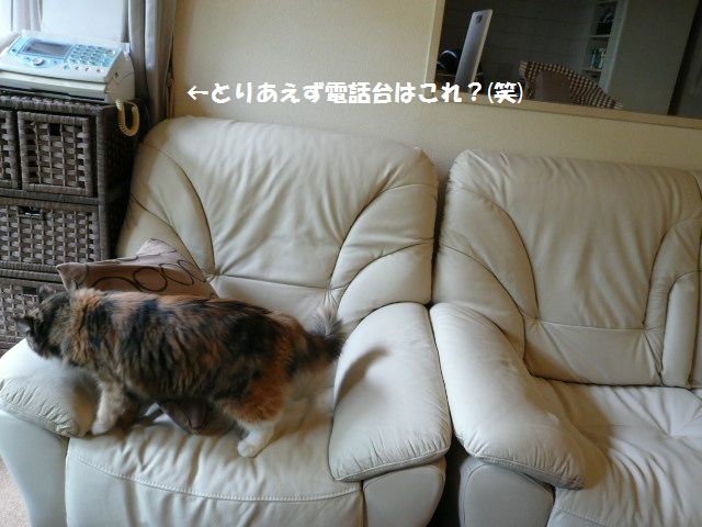 e0094407_1350959.jpg